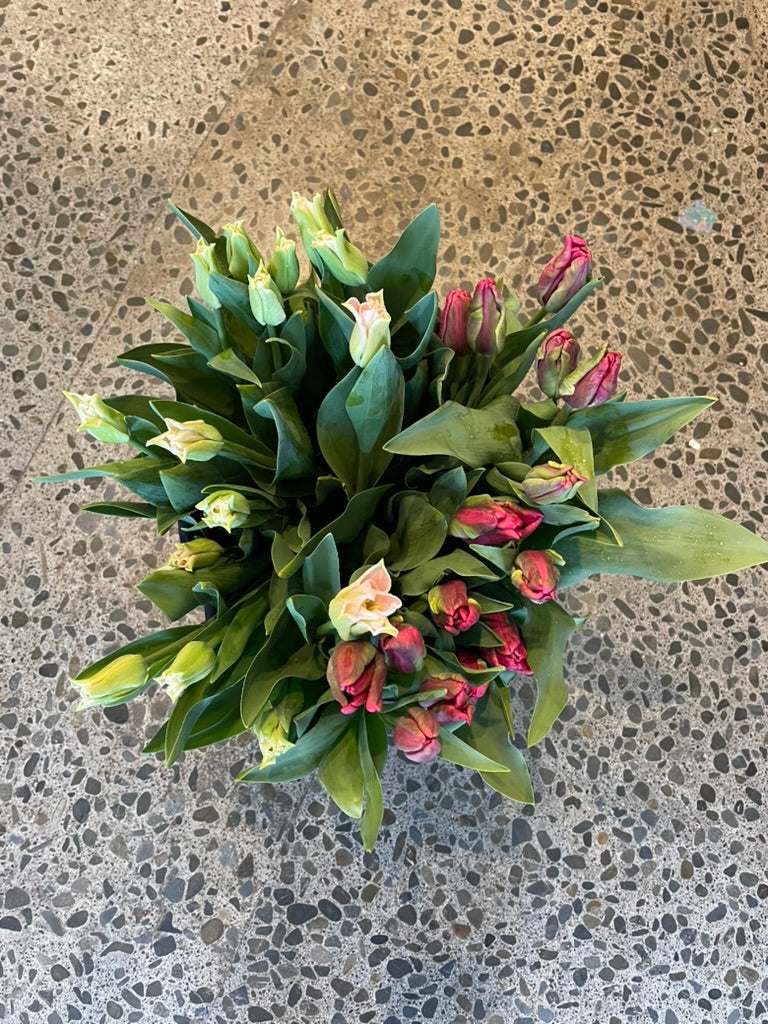 Mixed tulip bouquet including parrot and crown varieties, Sunny Flowers NZ