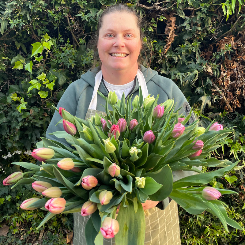Anna from Sunny Flowers picking fresh tulips at the Havelock North flower farm