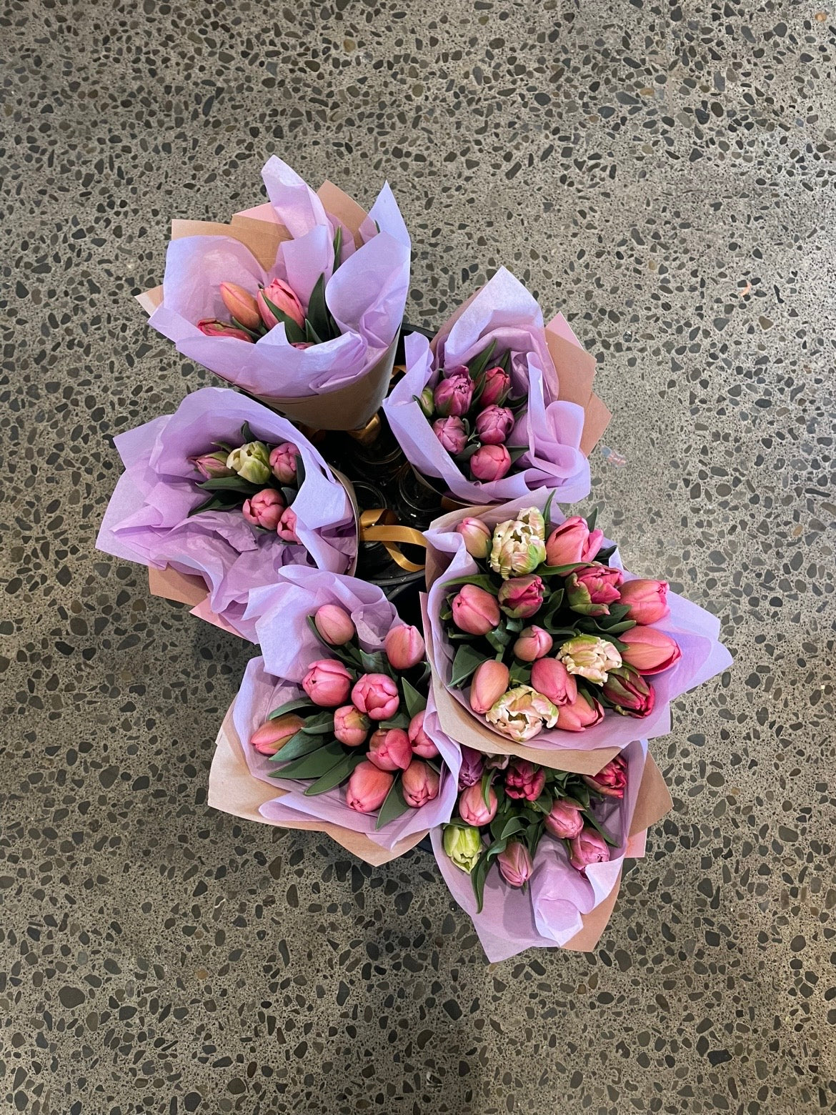 Fresh pink and white tulips grown at Sunny Flowers, Havelock North, Hawke's Bay