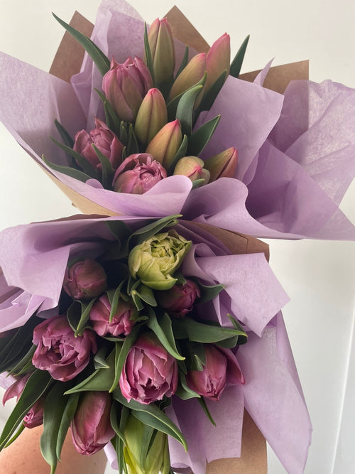 Hand picked tulip bunch wrapped in purple tissue paper, locally grown in Hawke's Bay