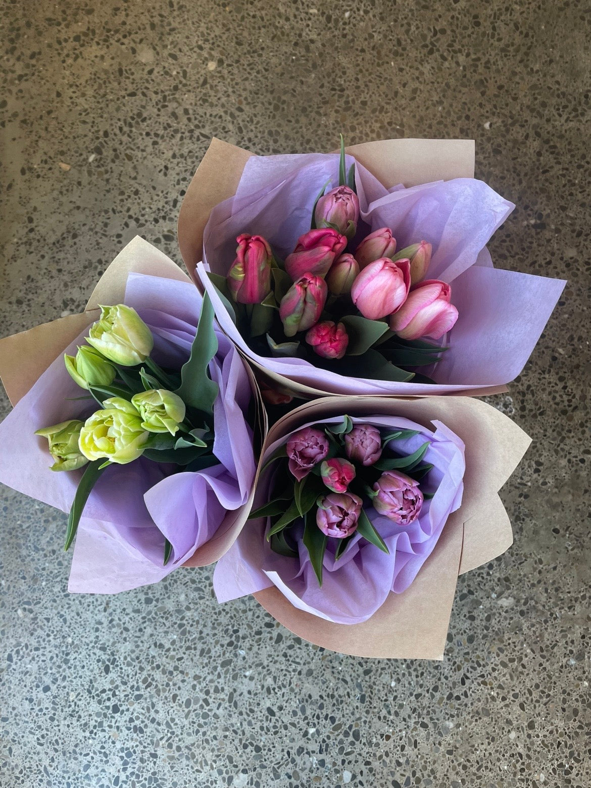 Hand picked tulip bunch wrapped in kraft paper, locally grown in Hawke's Bay