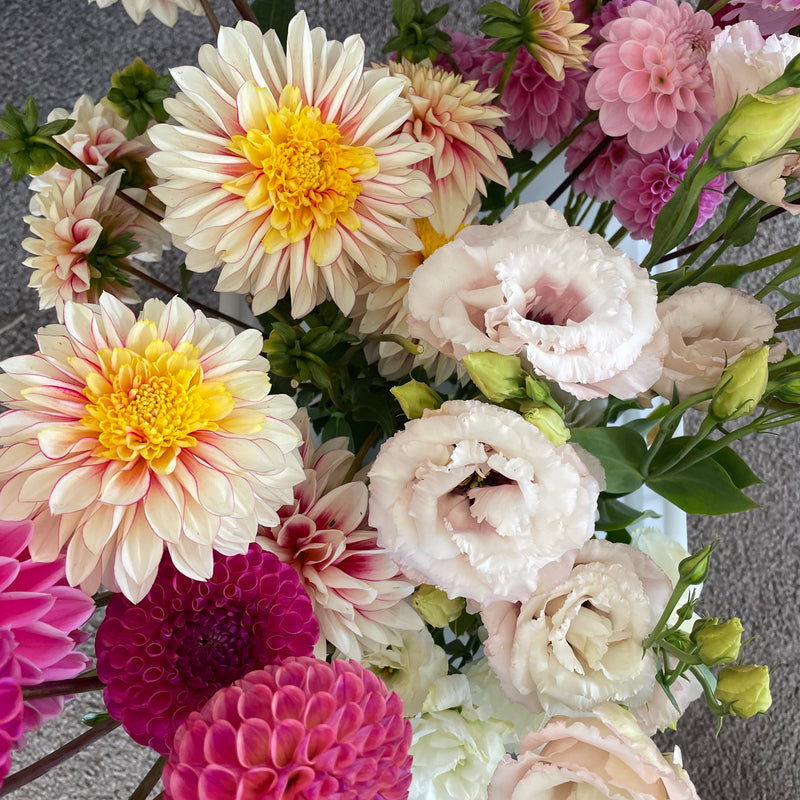 Fresh mixed bouquet of locally grown seasonal flowers, Hawke's Bay NZ